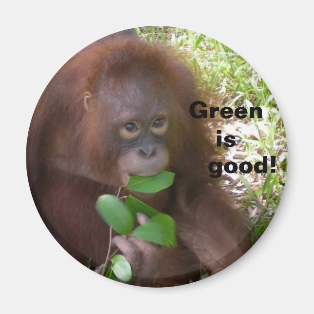 Imán Buena dieta vegetariana (Frente)