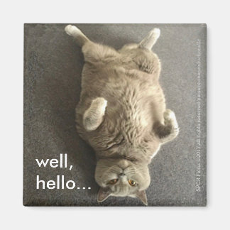 Imán "Bueno, hola..." de Fiona, el gato azul británico.