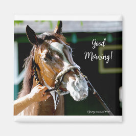 Imán ¡Buenos días! Caballo