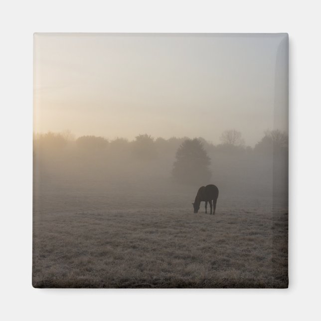 Imán Buenos días de país (Frente)