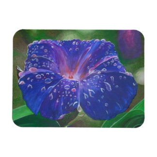Imán Buenos días Pétalos de Gloria (Ipomoea Purpurea) y