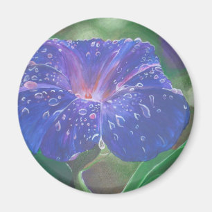 Imán Buenos días Pétalos de Gloria (Ipomoea Purpurea) y