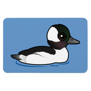 Imán Bufflehead