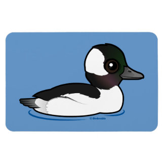Imán Bufflehead