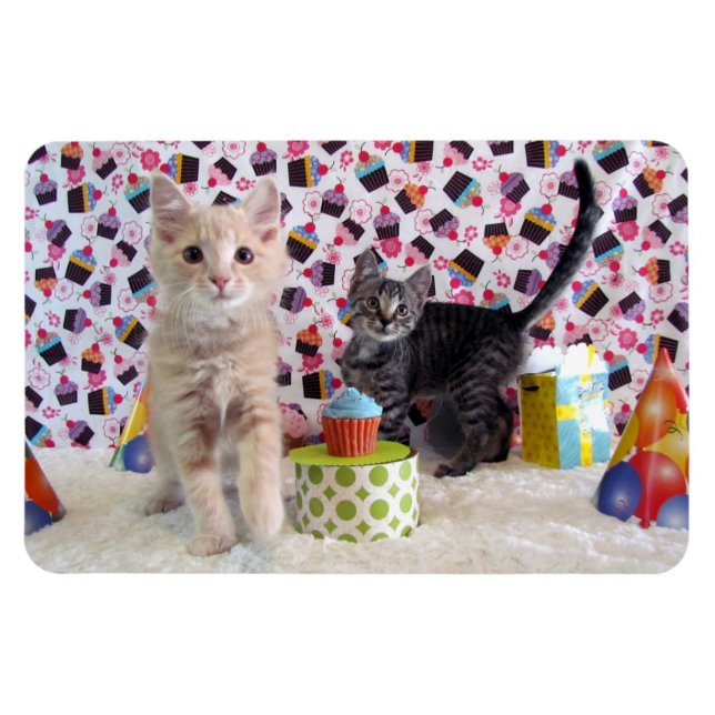 Imán Búfington y Gato de cumpleaños de Patton / Kitten (Horizontal)