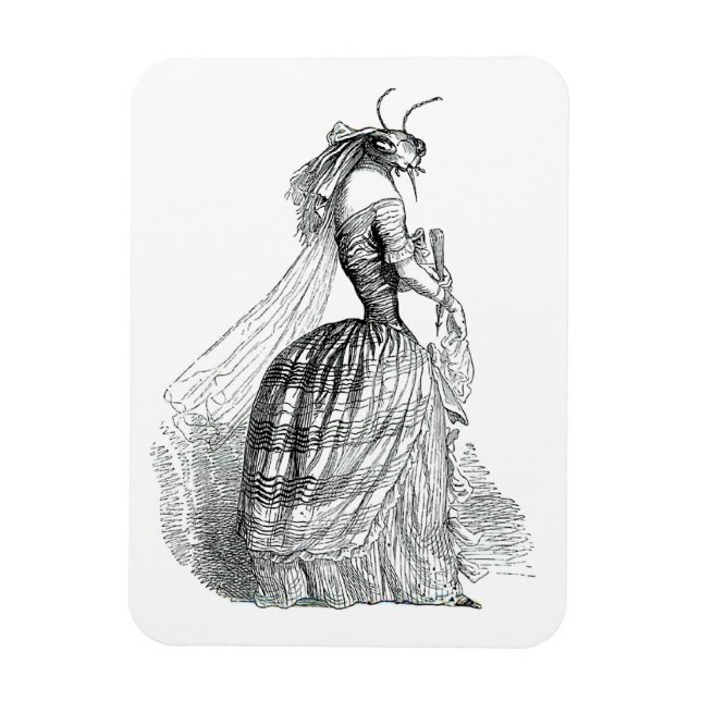 Imán Bug Bustle (Vertical)