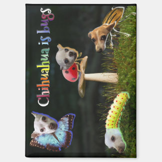 Imán Buggs Magnet