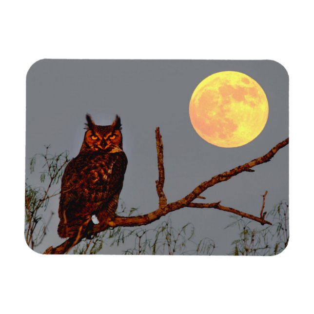 Imán Búho Americano | Luna Llena (Horizontal)