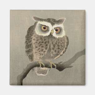 Imán búho de larga duración