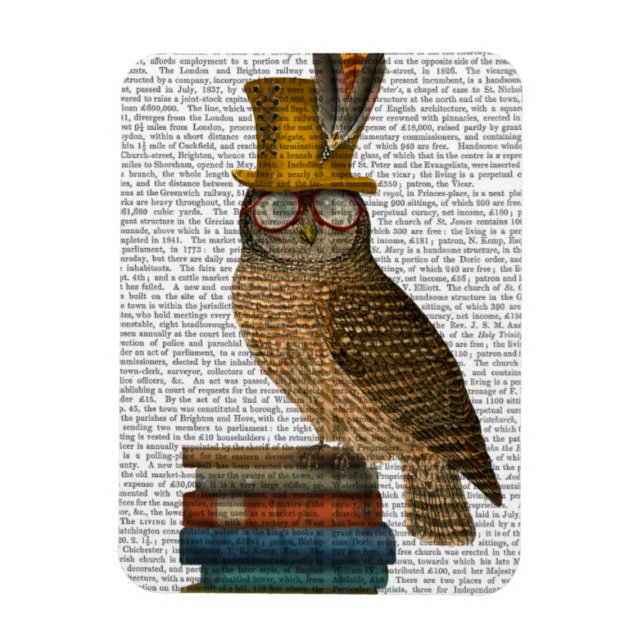 Imán Búho en libros (Vertical)