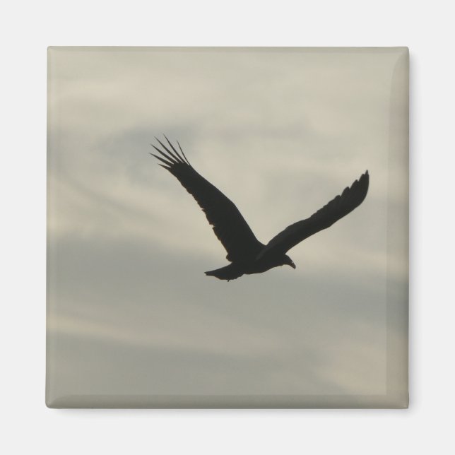 Imán Buitre. (Frente)