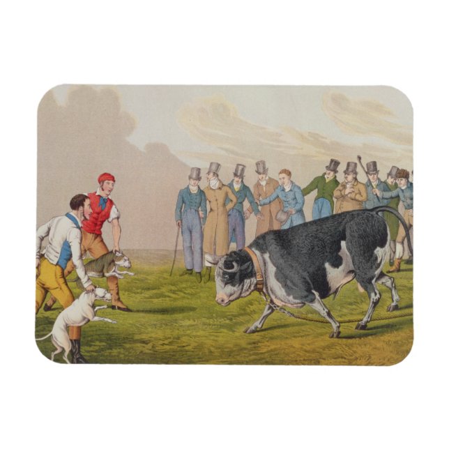Imán 'Bull Baiting', pub. por Thomas McLean, 1820, (imp (Horizontal)