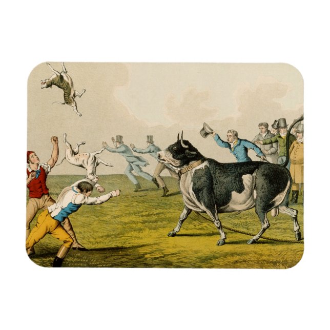 Imán 'Bull Baiting', pub. por Thomas McLean, 1820, (pri (Horizontal)