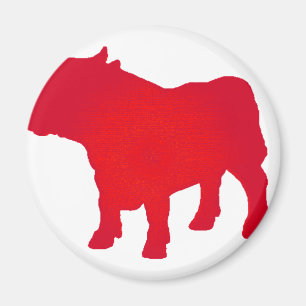 Imán Bull considera rojo