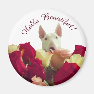 Imán Bull terrier con saludo de rosas - Hola hermosa