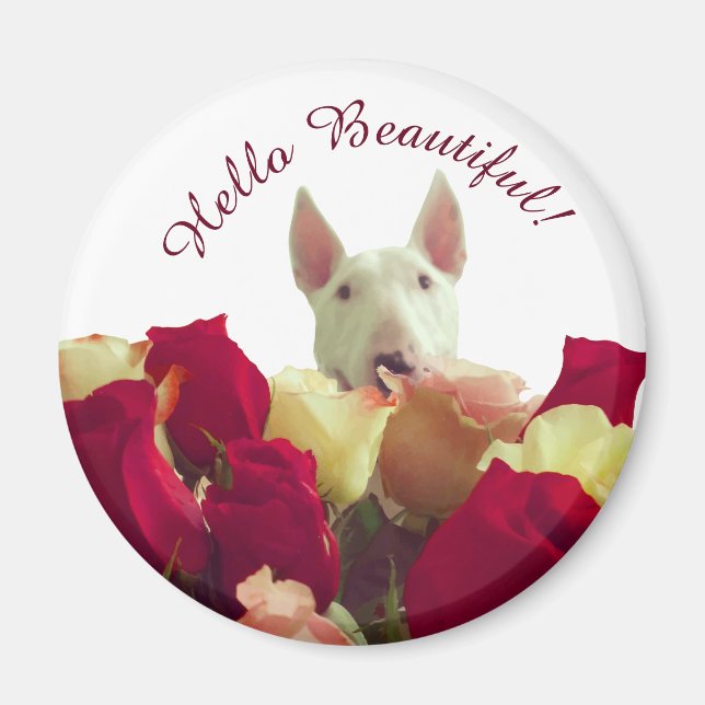 Imán Bull terrier con saludo de rosas - Hola hermosa (Frente)