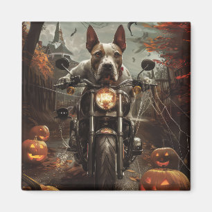 Imán Bull Terrier Montando en Motocicleta Halloween Sca
