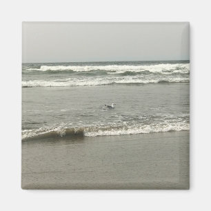 Imán Bullards Beach State Park, Bandon, Oregon