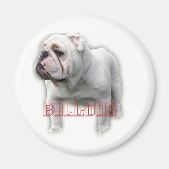 Imán Bulldog ブ ル ド グ (Frente)