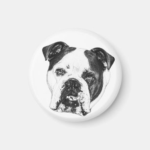Imán Bulldog de la lista de nevera
