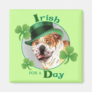 Imán Bulldog del día de St Patrick