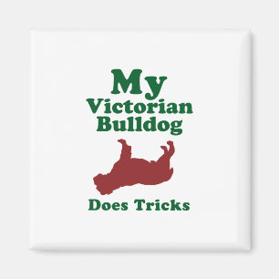 Imán Bulldog del Victorian