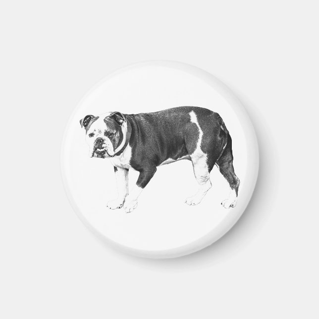 Imán Bulldog Fiel, Sombra Expressiva (Frente)