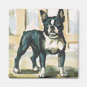 Imán Bulldog francés