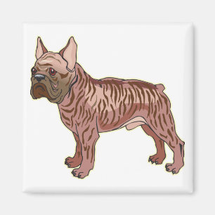 Imán Bulldog francés