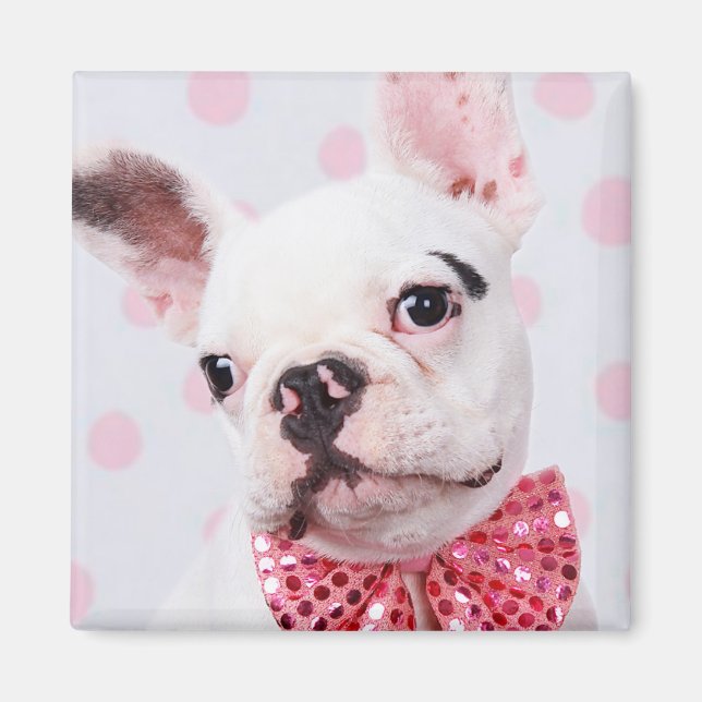Imán Bulldog francés con Bow Tie (Frente)