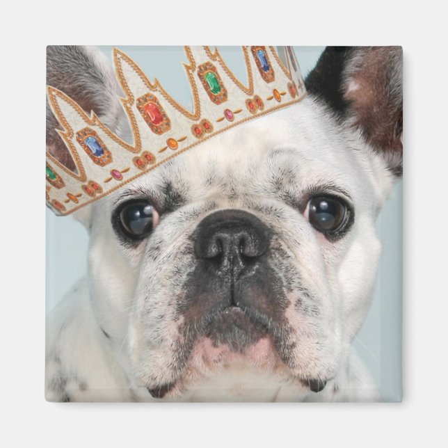 Imán Bulldog francés con corona (Frente)