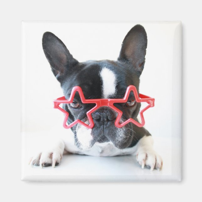 Imán Bulldog francés con gafas de estrella roja (Frente)