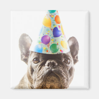 Imán Bulldog francés con Gorra Fiesta