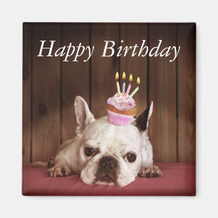 Imán Bulldog francés con la magdalena del cumpleaños