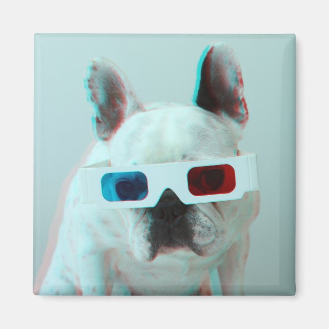 Imán Bulldog Francés Con Vidrios 3D (Frente)
