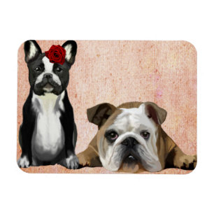 Imán Bulldog francés y Bulldog inglés
