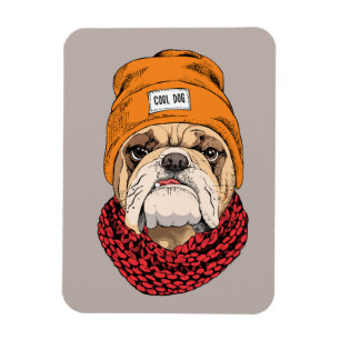 Imán Bulldog fresco
