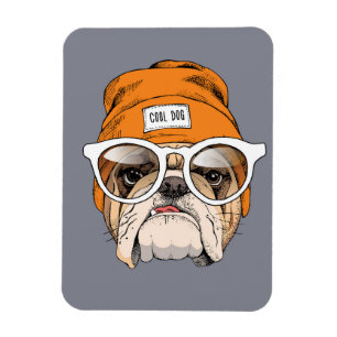 Imán Bulldog Guay Hipster