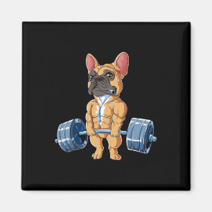 Imán Bulldog Halterofilia Fawn Deadlift Fitness Gym Fu