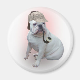 Imán Bulldog inglés