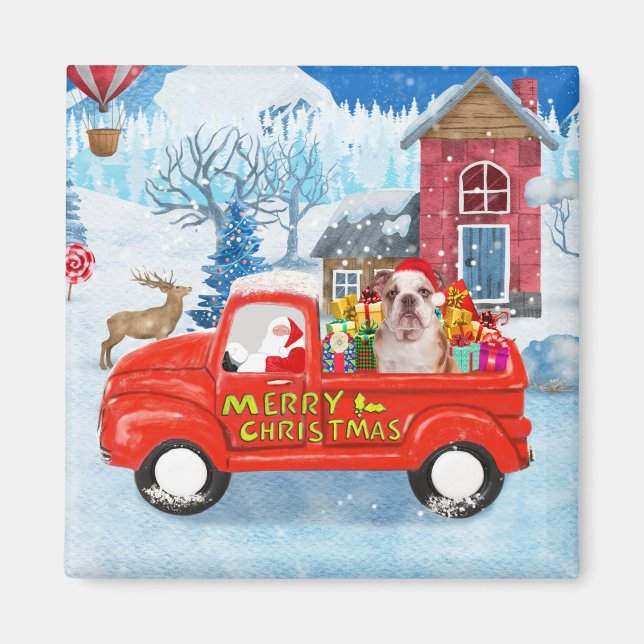 Imán Bulldog inglés en camionetas de entrega de Navidad (Frente)