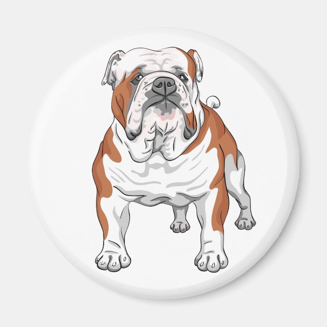 Imán Bulldog inglés lindo Personalizado de acosadores p (Frente)