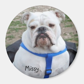 Imán Bulldog inglés Missy Magnet