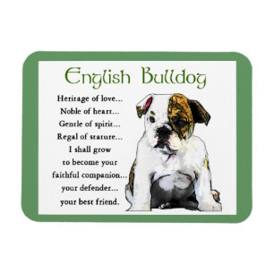 Imán Bulldog inglés Patrimonio de amor