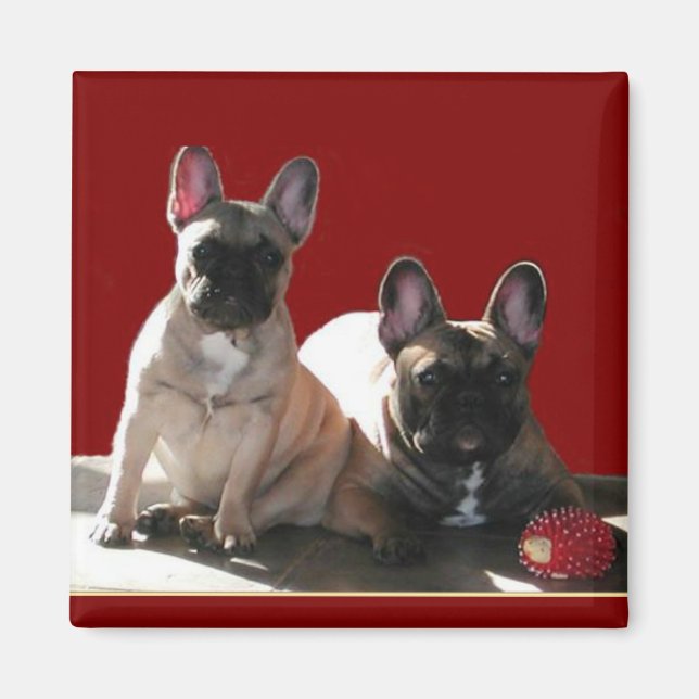 Imán Bulldogues franceses Flo y Fips  (Frente)