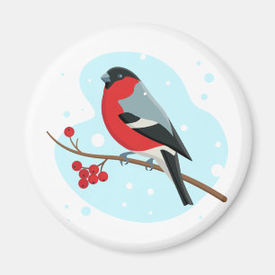 Imán Bullfinch. Hermoso invierno