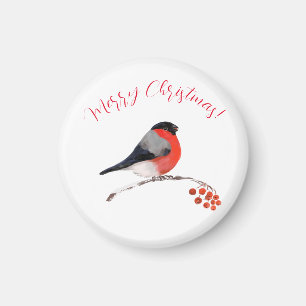 Imán Bullfinch y bayas rojas, navidad