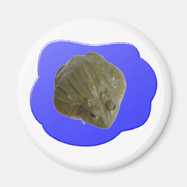 Imán Bullfrog Magnet (Frente)