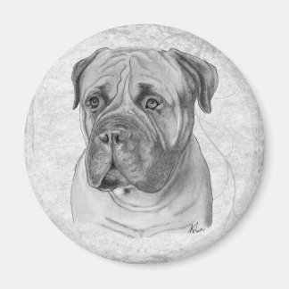 Imán Bullmastiff