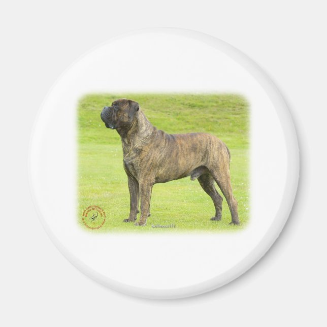 Imán Bullmastiff 9R071D-077 (Frente)